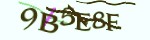 Mã bảo mật